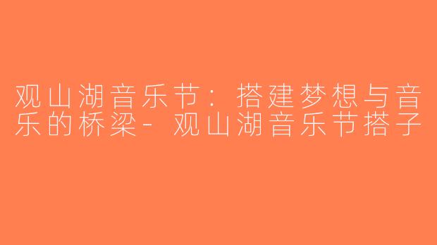 观山湖音乐节：搭建梦想与音乐的桥梁-观山湖音乐节搭子