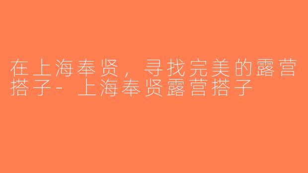 在上海奉贤，寻找完美的露营搭子-上海奉贤露营搭子