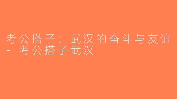 考公搭子：武汉的奋斗与友谊-考公搭子武汉