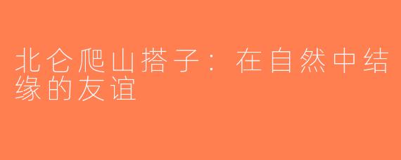 北仑爬山搭子：在自然中结缘的友谊