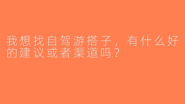 我想找自驾游搭子，有什么好的建议或者渠道吗？