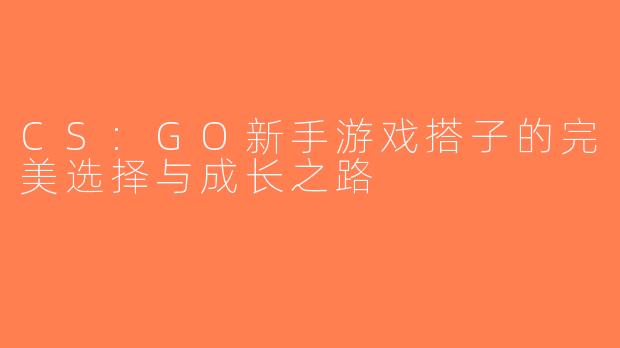 CS:GO新手游戏搭子的完美选择与成长之路