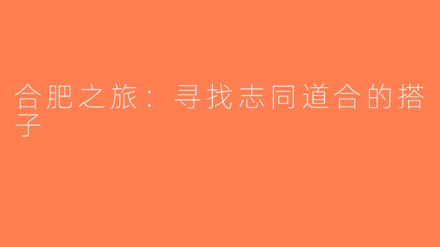 合肥之旅：寻找志同道合的搭子