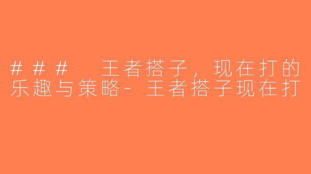 ### 王者搭子，现在打的乐趣与策略-王者搭子现在打