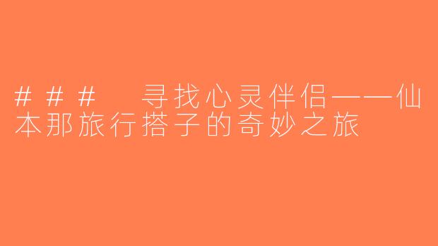 ### 寻找心灵伴侣——仙本那旅行搭子的奇妙之旅