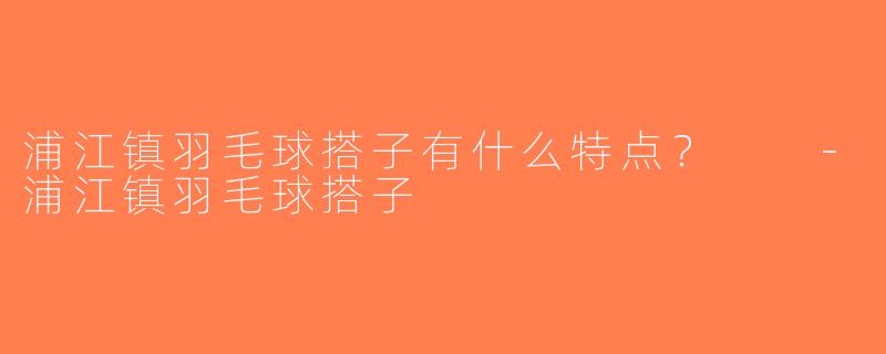 浦江镇羽毛球搭子有什么特点？  -浦江镇羽毛球搭子
