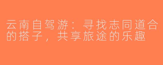 云南自驾游：寻找志同道合的搭子，共享旅途的乐趣