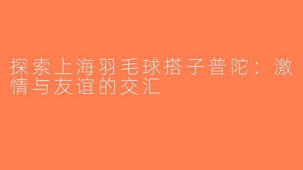 探索上海羽毛球搭子普陀：激情与友谊的交汇