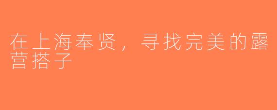 在上海奉贤，寻找完美的露营搭子