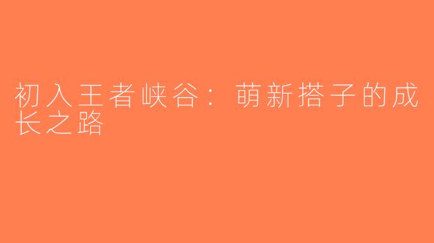 初入王者峡谷：萌新搭子的成长之路