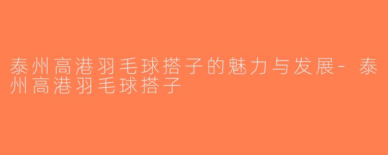 泰州高港羽毛球搭子的魅力与发展-泰州高港羽毛球搭子