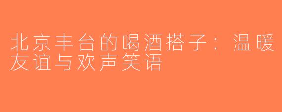 北京丰台的喝酒搭子：温暖友谊与欢声笑语