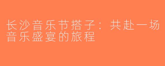 长沙音乐节搭子：共赴一场音乐盛宴的旅程
