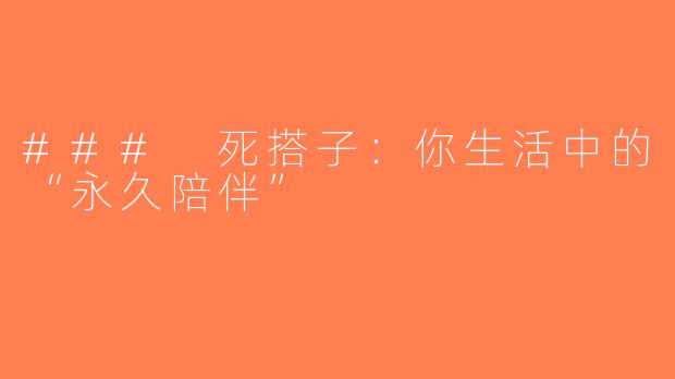 ### 死搭子：你生活中的“永久陪伴”