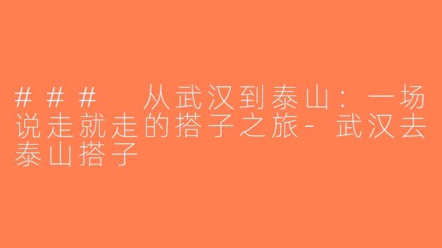 ### 从武汉到泰山：一场说走就走的搭子之旅-武汉去泰山搭子