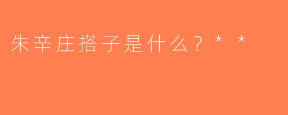 朱辛庄搭子是什么？**
