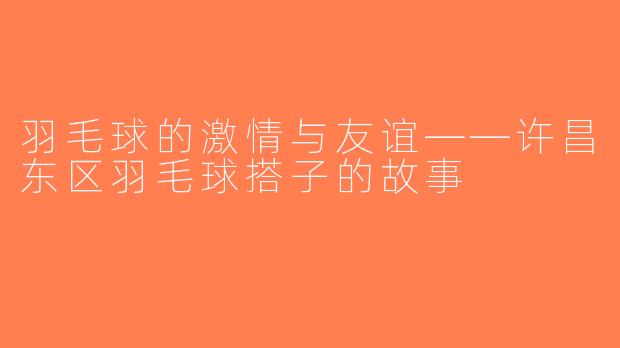 羽毛球的激情与友谊——许昌东区羽毛球搭子的故事