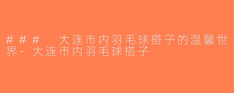 ### 大连市内羽毛球搭子的温馨世界-大连市内羽毛球搭子