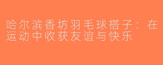 哈尔滨香坊羽毛球搭子：在运动中收获友谊与快乐