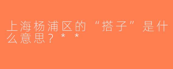 上海杨浦区的“搭子”是什么意思？**