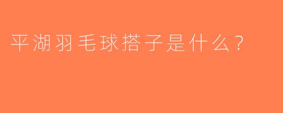 平湖羽毛球搭子是什么？