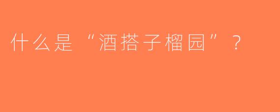 什么是“酒搭子榴园”？  