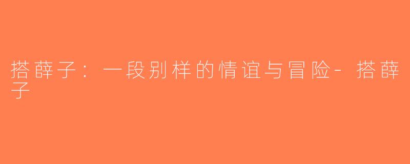 搭薛子：一段别样的情谊与冒险-搭薛子