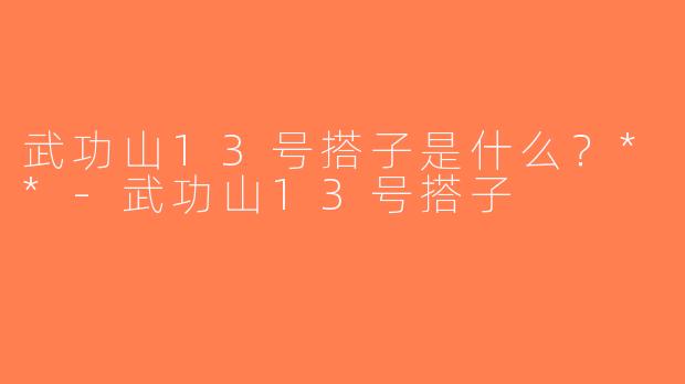 武功山13号搭子是什么？**-武功山13号搭子