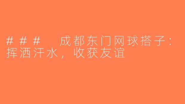 ### 成都东门网球搭子：挥洒汗水，收获友谊