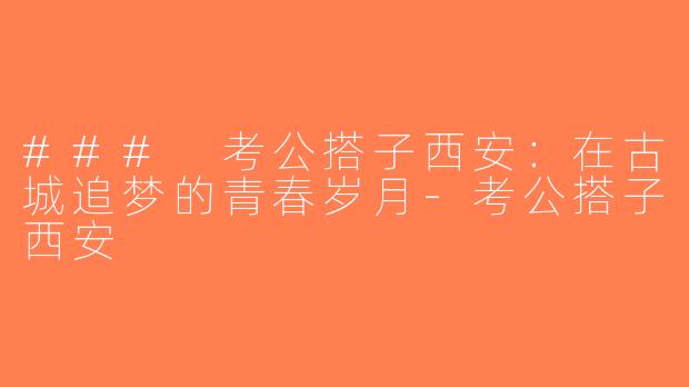 ### 考公搭子西安：在古城追梦的青春岁月-考公搭子西安