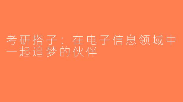 考研搭子：在电子信息领域中一起追梦的伙伴