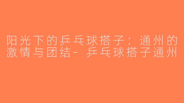 阳光下的乒乓球搭子：通州的激情与团结-乒乓球搭子通州
