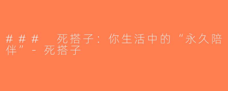 ### 死搭子：你生活中的“永久陪伴”-死搭子