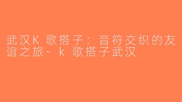 武汉K歌搭子：音符交织的友谊之旅-k歌搭子武汉