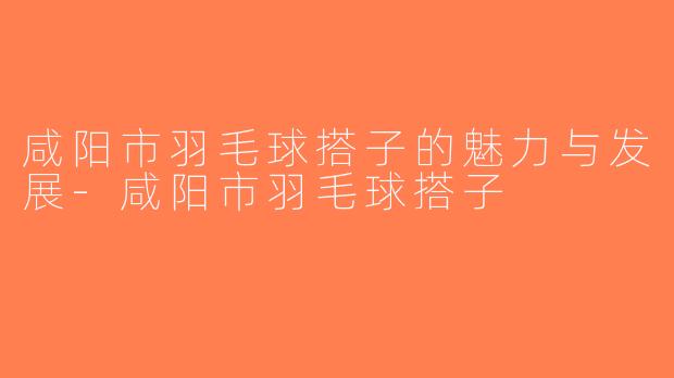 咸阳市羽毛球搭子的魅力与发展-咸阳市羽毛球搭子