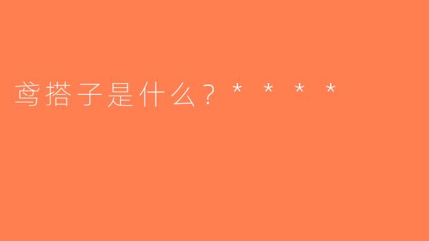 鸢搭子是什么？****