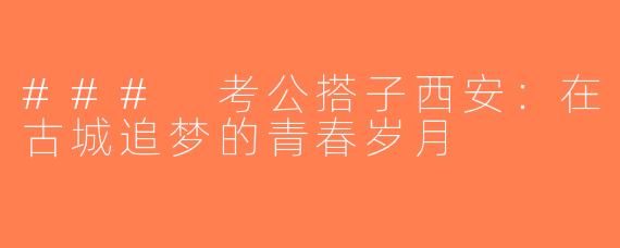 ### 考公搭子西安：在古城追梦的青春岁月