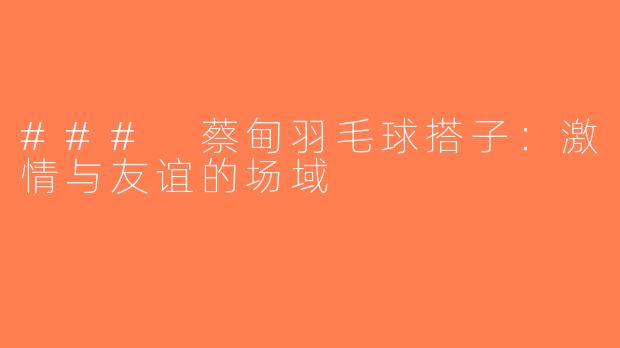 ### 蔡甸羽毛球搭子：激情与友谊的场域