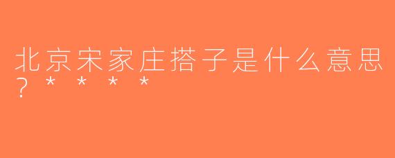 北京宋家庄搭子是什么意思？****
