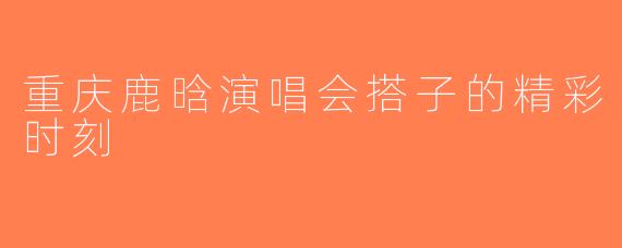 重庆鹿晗演唱会搭子的精彩时刻