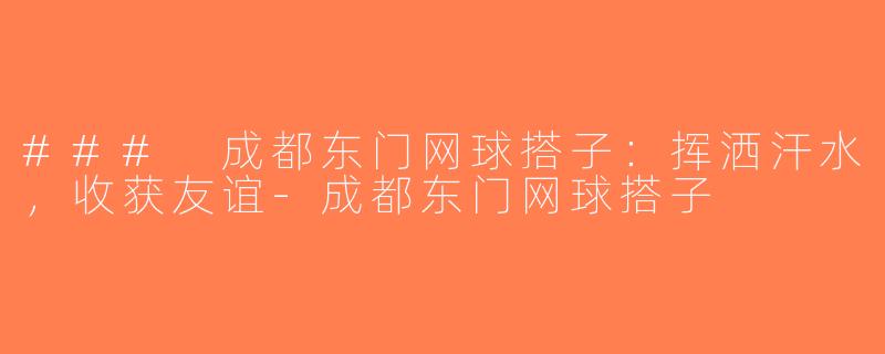 ### 成都东门网球搭子：挥洒汗水，收获友谊-成都东门网球搭子