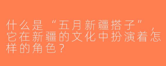 什么是“五月新疆搭子”，它在新疆的文化中扮演着怎样的角色？