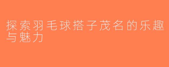 探索羽毛球搭子茂名的乐趣与魅力