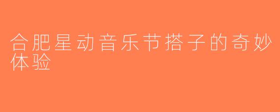 合肥星动音乐节搭子的奇妙体验