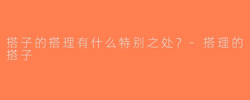 搭子的搭理有什么特别之处？-搭理的搭子