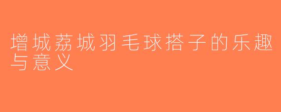 增城荔城羽毛球搭子的乐趣与意义