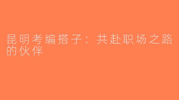 昆明考编搭子：共赴职场之路的伙伴
