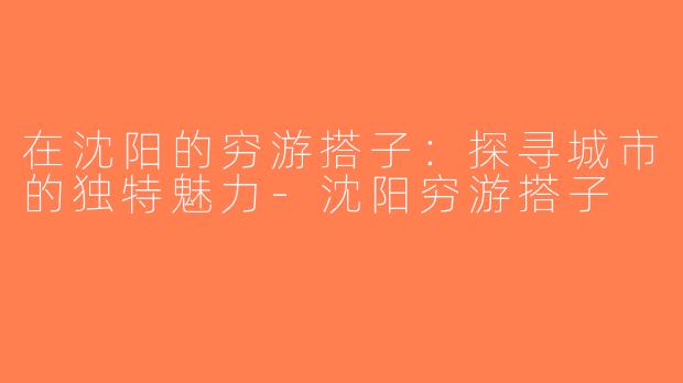 在沈阳的穷游搭子：探寻城市的独特魅力-沈阳穷游搭子