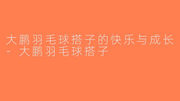 大鹏羽毛球搭子的快乐与成长-大鹏羽毛球搭子