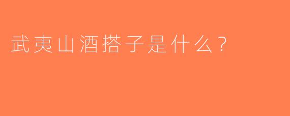 武夷山酒搭子是什么？